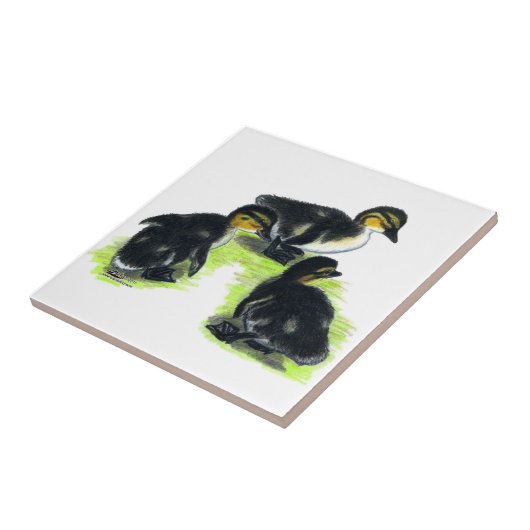 マガモの子ガモ タイル (側面)