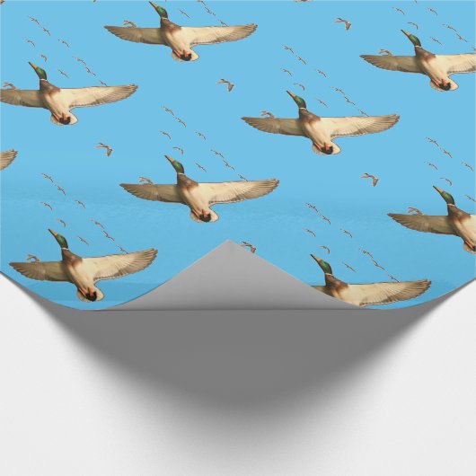 マガモはカナダのガチョウを引込めます ラッピングペーパー (角)