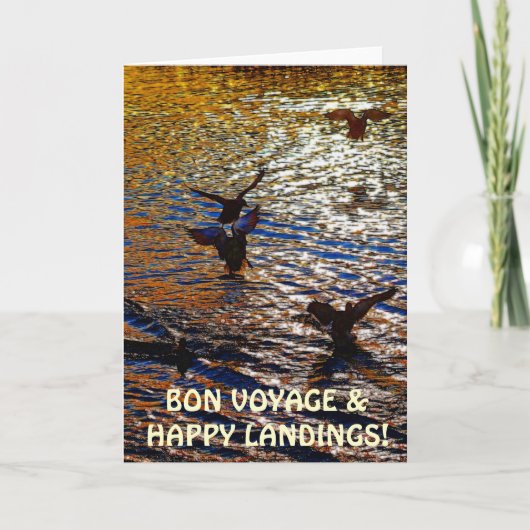 マガモは着陸の旅行者の写真の挨拶状を引込めます カード (正面)