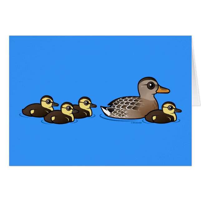 マガモ及び4羽の子ガモ (正面横)