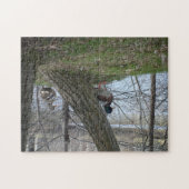 マガモ ジグソーパズル (横)