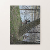 マガモ ジグソーパズル (縦)