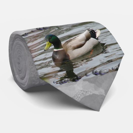 マガモ ネクタイ (ロール)