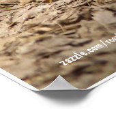 マガモ ポスター (角)