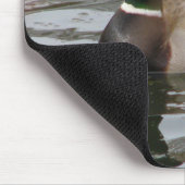 マガモ マウスパッド (コーナー)