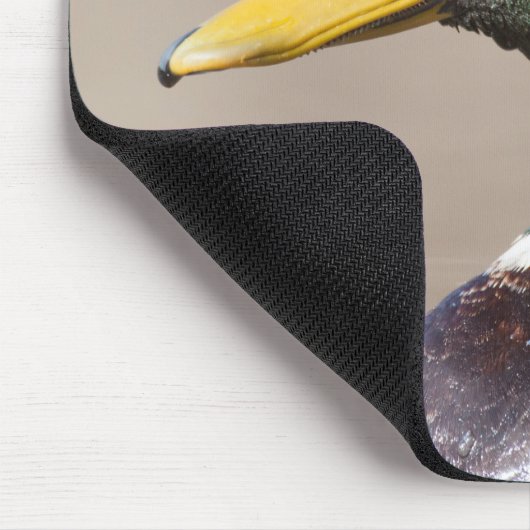 マガモ マウスパッド (コーナー)