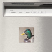 マガモ マグネット (インサイチュ (食洗機))