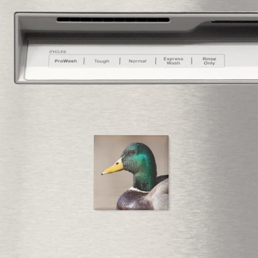 マガモ マグネット (インサイチュ (食洗機))