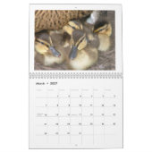 マガモDuckings カレンダー (3月 2027)