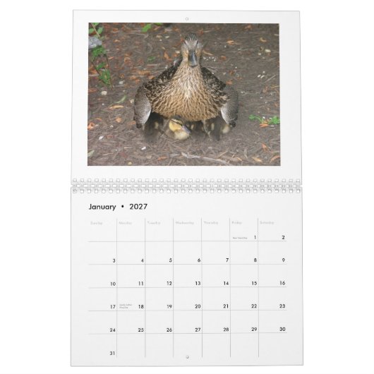 マガモDuckings カレンダー (1月 2027)