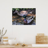 マガードのペア ポスター (キッチン)