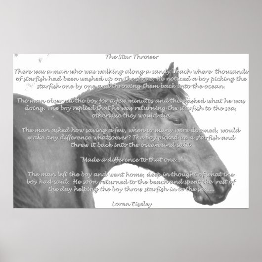 マキシヒトデ ポスター (正面)