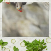 マキャスシール島の大西洋のパフィン キッチンタオル (折り畳み)