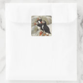 マキャスシール島の大西洋のパフィン スクエアシール (バッグ)