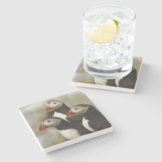 マキャスシール島の大西洋のパフィン ストーンコースター (横)