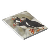 マキャスシール島の大西洋のパフィン ノートパッド (アングル)