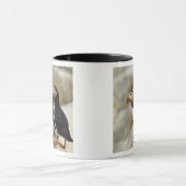 マキャスシール島の大西洋のパフィン マグカップ (中央)