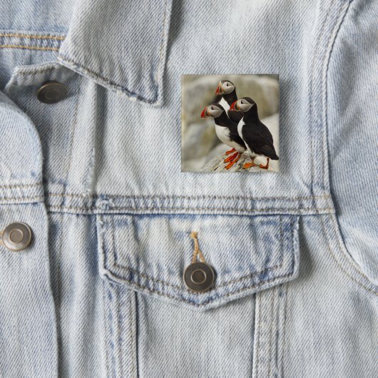 マキャスシール島の大西洋のパフィン 缶バッジ (インサイチュ)