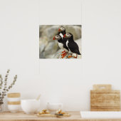 マキャスシール島沖の大西洋のパフィン ポスター (キッチン)