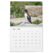 マキャスシール島（パフィン） 2026 カレンダー (3月 2026)