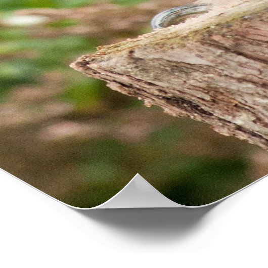 マキンダワシふく ポスター (角)