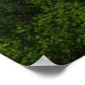 マキンリー山 ポスター (角)