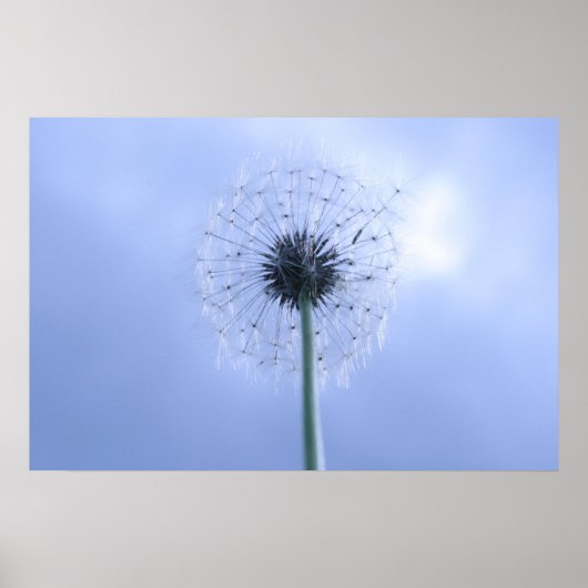 マキン・ウィッシュ ポスター (正面)