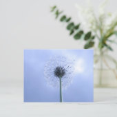 マキン・ウィッシュ ポストカード (スタンド正面)