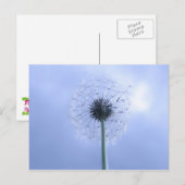 マキン・ウィッシュ ポストカード (正面/裏面)