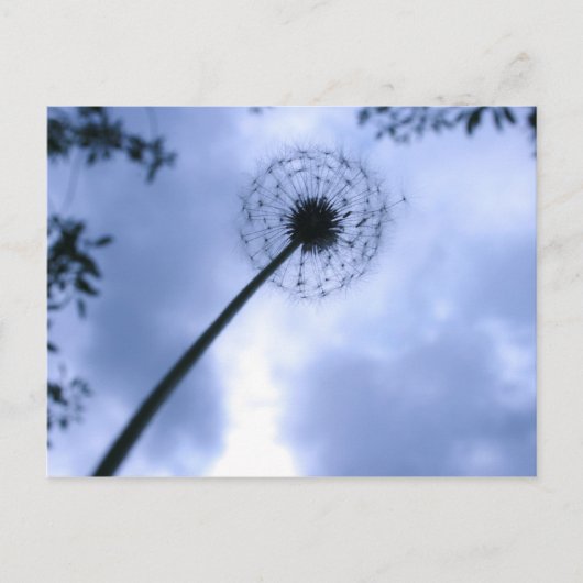 マキン・ウィッシュ ポストカード (正面)