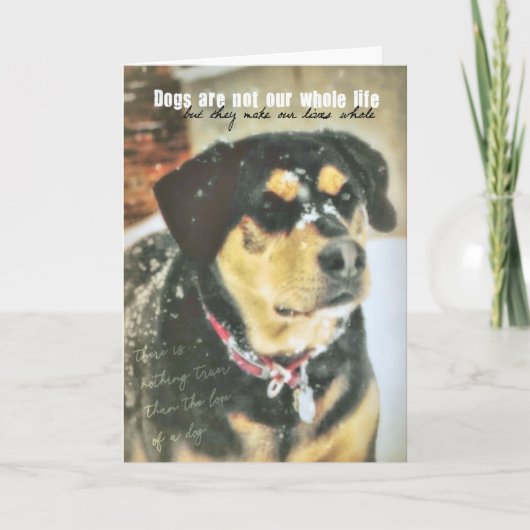 マギー前グリーティングカード サンキューカード (正面)