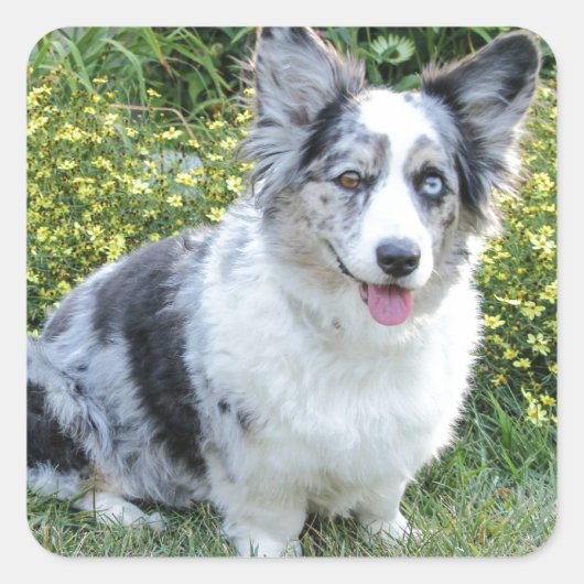 マギー鉱山 スクエアシール (正面)