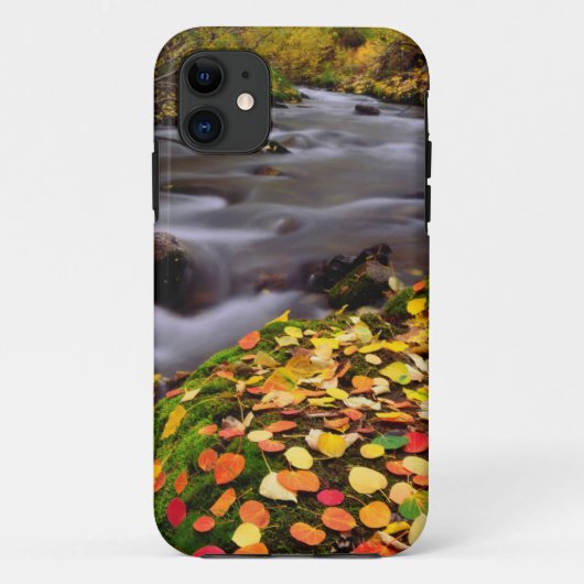 マギー・クリーク沿いの秋の色 Case-Mate iPhoneケース (裏面)