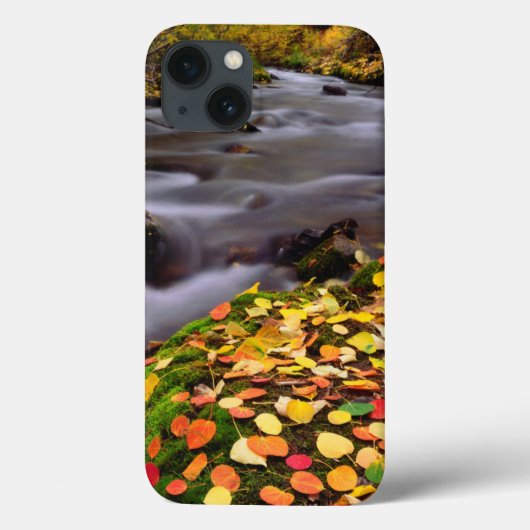 マギー・クリーク沿いの秋の色 Case-Mate iPhoneケース (裏面)