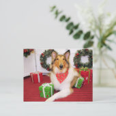 マギー – コリー – ドノフー ポストカード (スタンド正面)