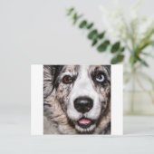 マギー ポストカード (スタンド正面)