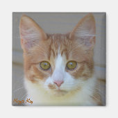 マギー・メイ磁石 マグネット (正面)