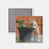 マギー・メイ&フラワーズ マグネット (正面/裏面)