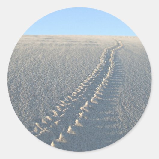 マクコニー湖 ラウンドシール (正面)