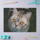 マクゴナガルティッシュペーパー 薄葉紙 (クラフト)