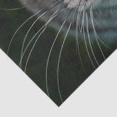 マクゴナガルティッシュペーパー 薄葉紙 (詳細)