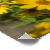 マクシミリアンひまわり (Helianthus Maximiliani) ポスター (角)