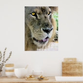 マクシムス ポスター (キッチン)