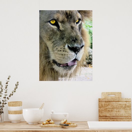 マクシムス ポスター (キッチン)