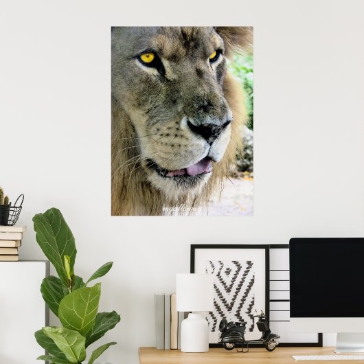 マクシムス ポスター (ホームオフィス)