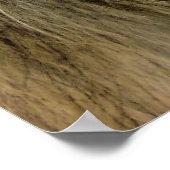 マクシムス ポスター (角)