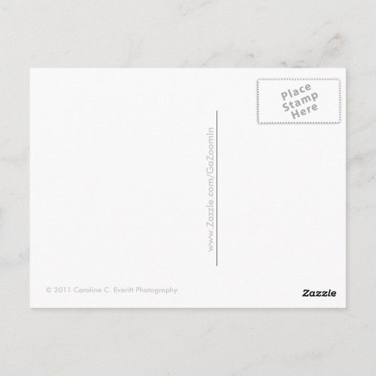 マクズ ポストカード (裏面)