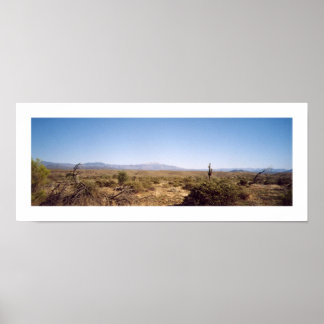 マクドウェル国立公園 ポスター