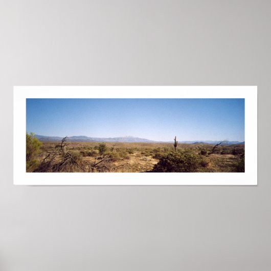 マクドウェル国立公園 ポスター (正面)