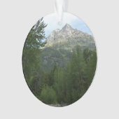 マクドナルドクリークアットグレイシャナショナルパーク オーナメント (正面)